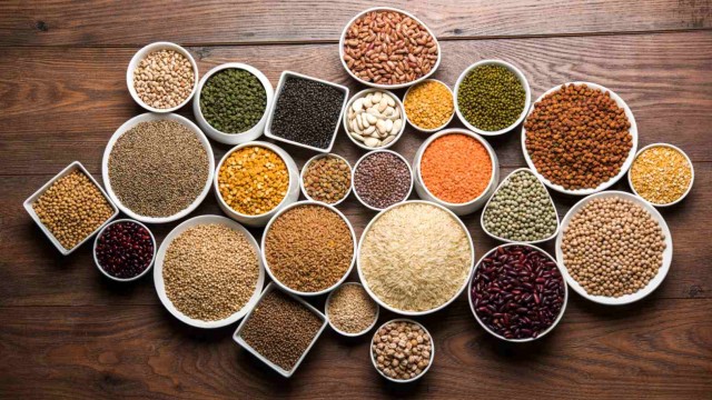 DHANOP AGRO INDUSTRIES BHILWARA